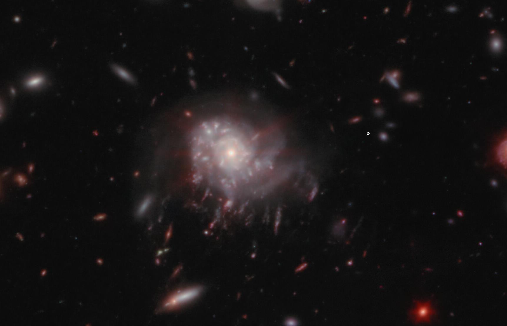 JWST one active galaxy