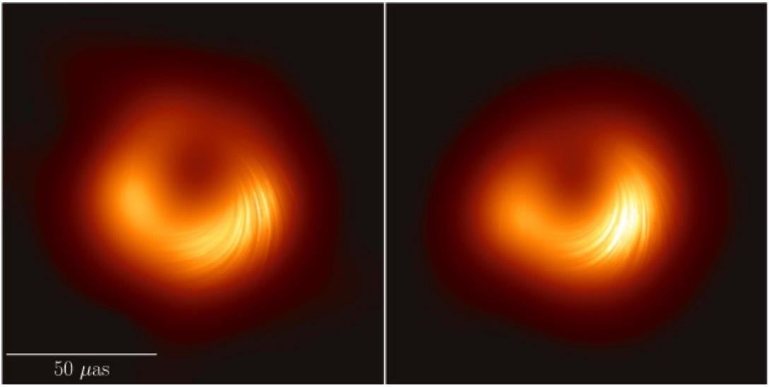 black hole polarization