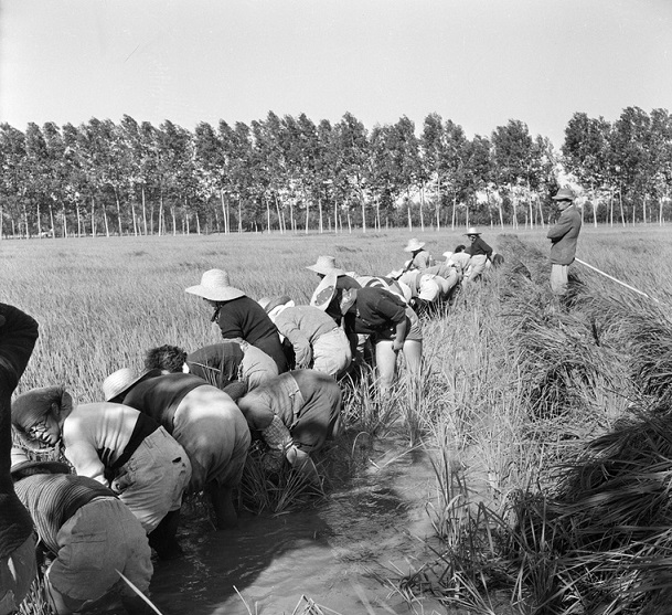 a black and white photo of people in a field.