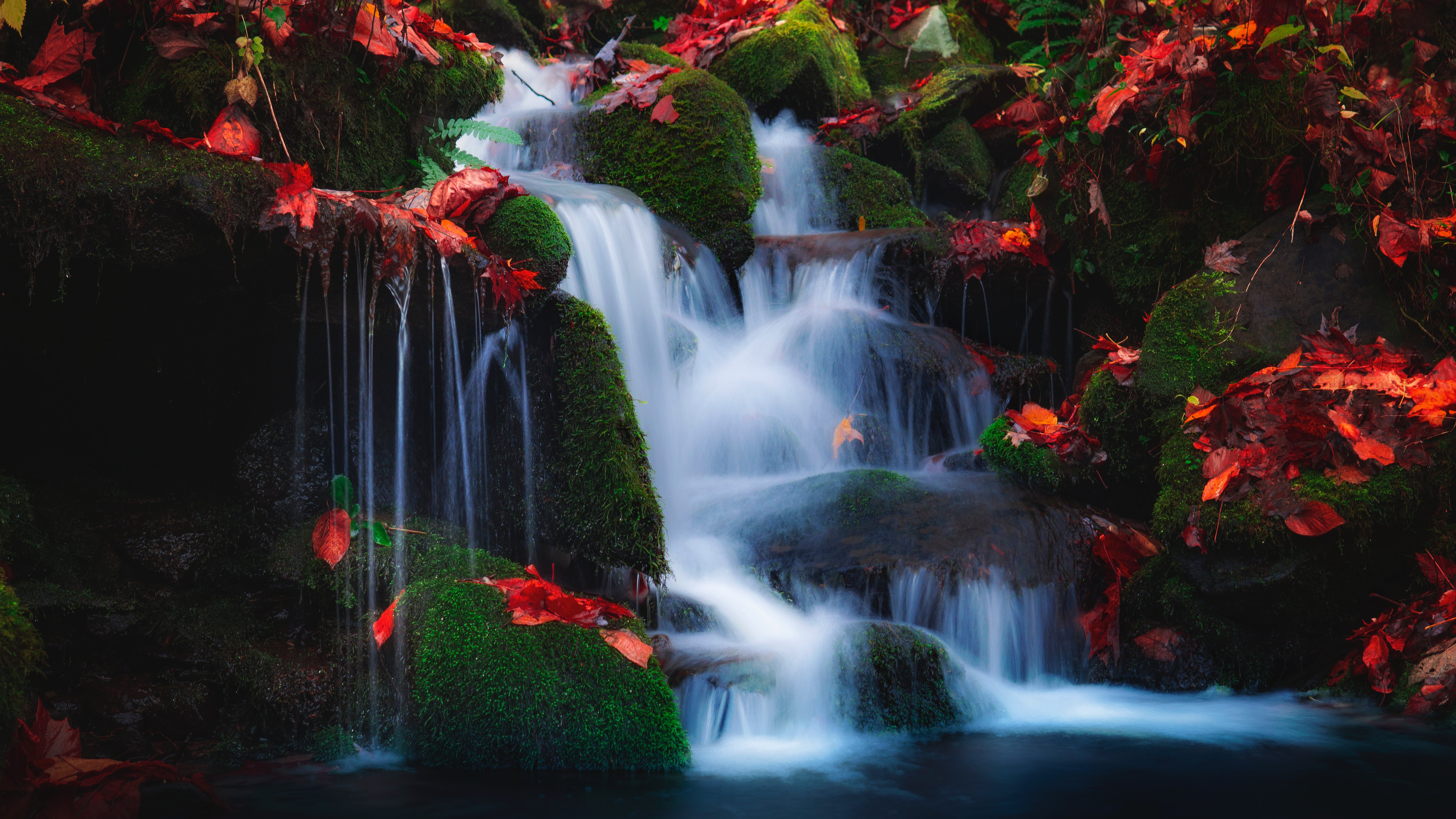 A waterfall surrounded by fallen autumn leaves.