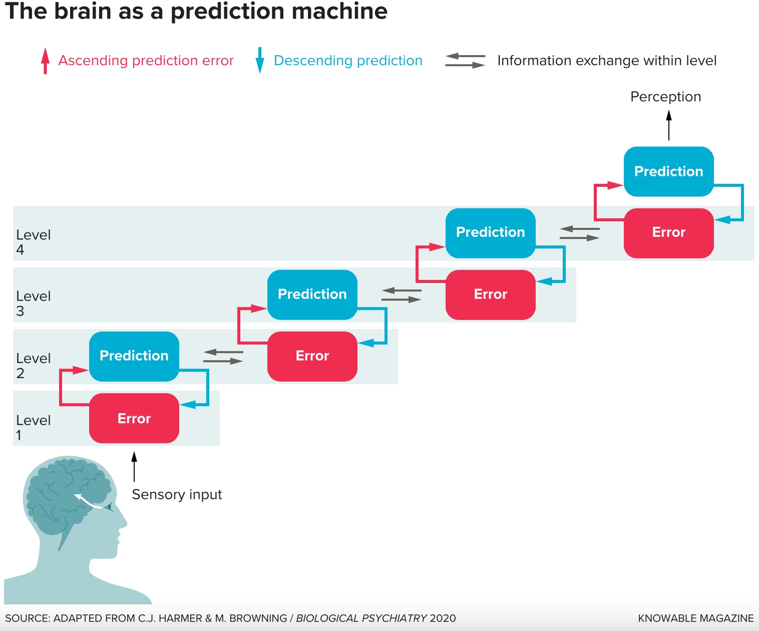 a diagram of the brain in a production machine.