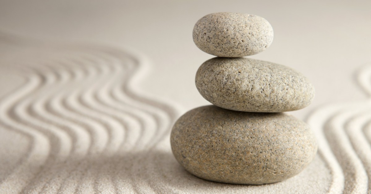 Readers reply: could rocks be conscious? Why are some things conscious and  some not?, Life and style