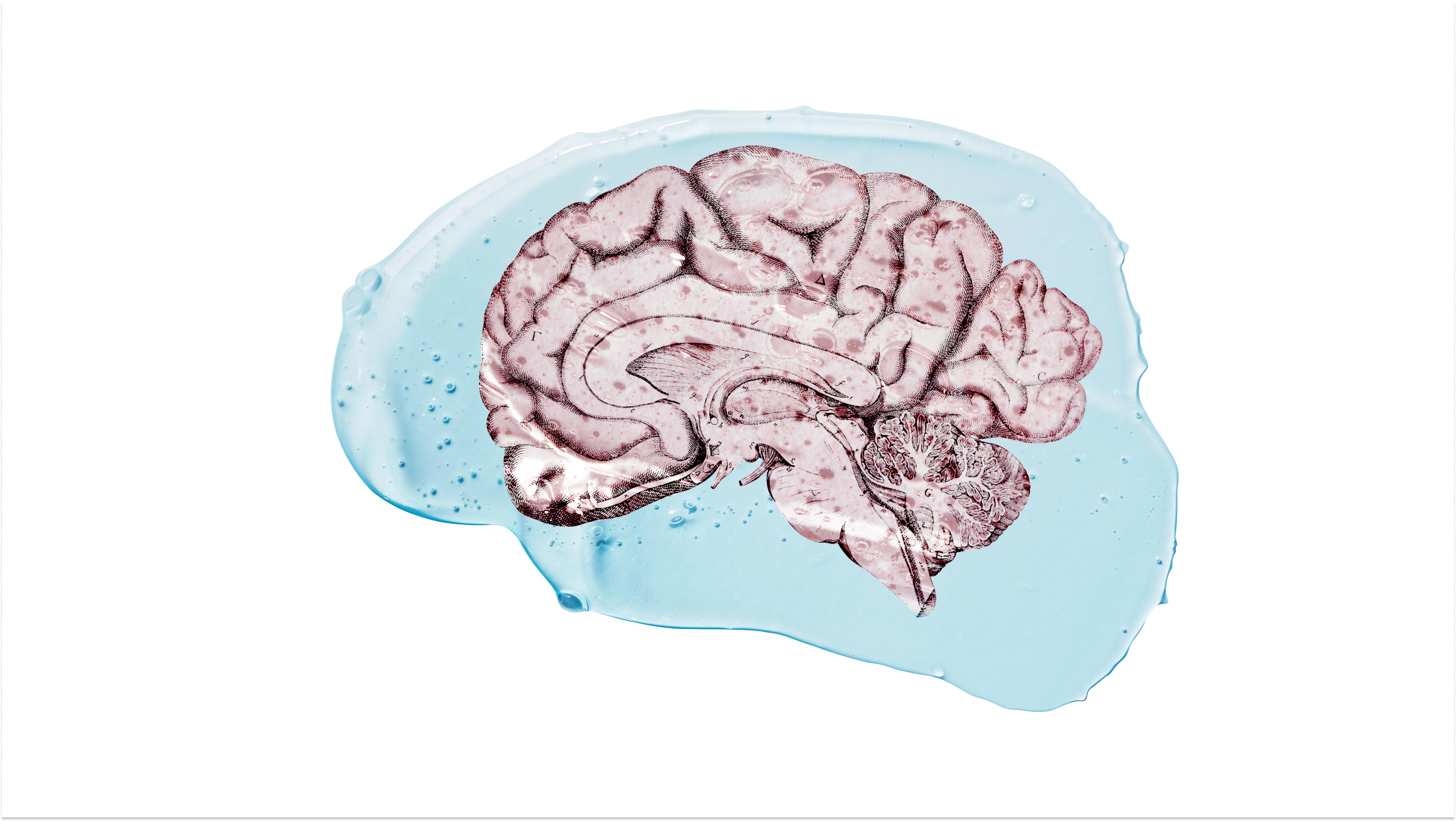 a drawing of a human brain in blue water.