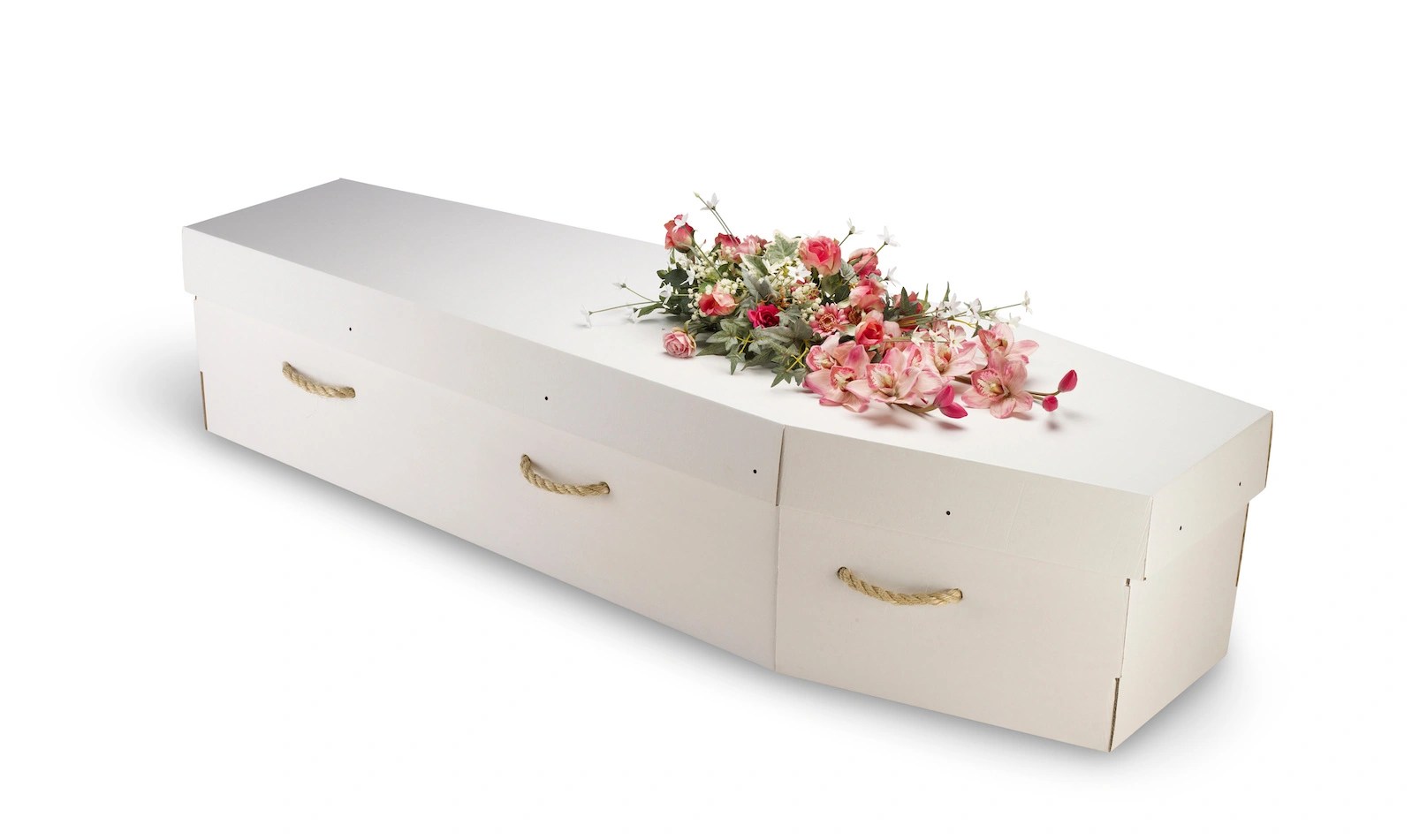 biodegradable cardboard coffin