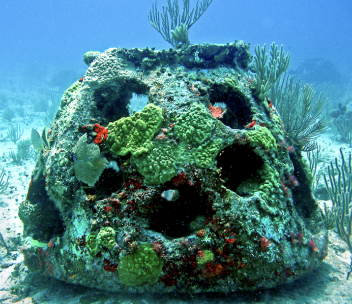 an artificial reef made of human ash