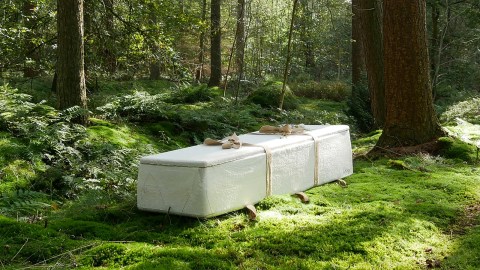 a white coffin sitting in the middle of a forest.