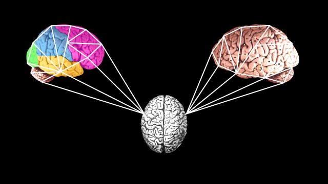 a group of three brain models connected by strings.