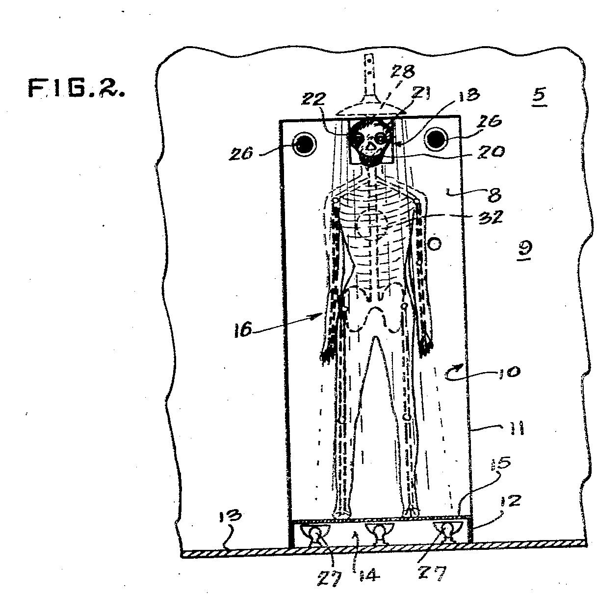 a drawing of a human body with a skeleton in it.