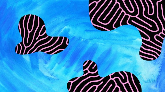 a painting of a couple of zebras on a blue background.