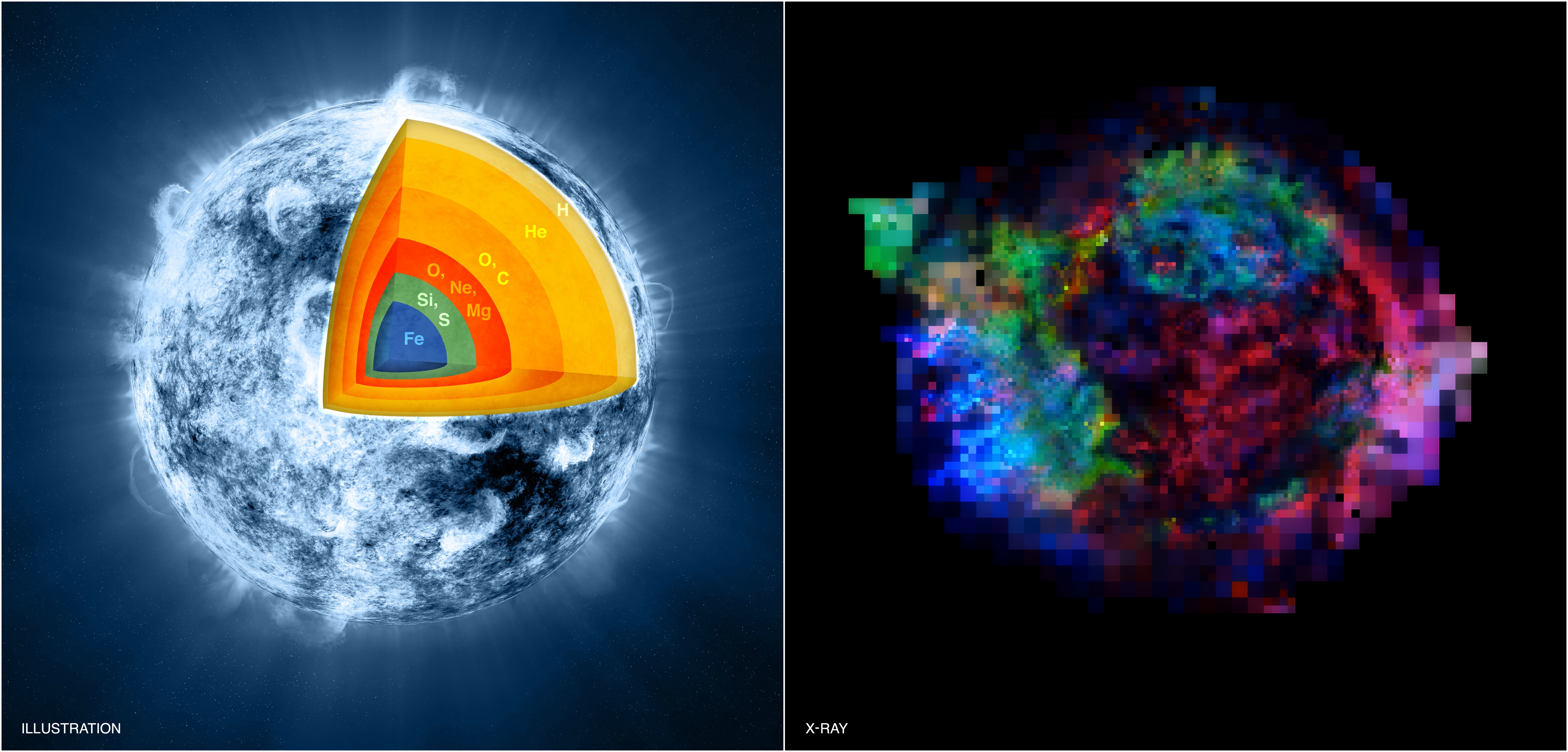 interior of a core-collapse supernova and element locations