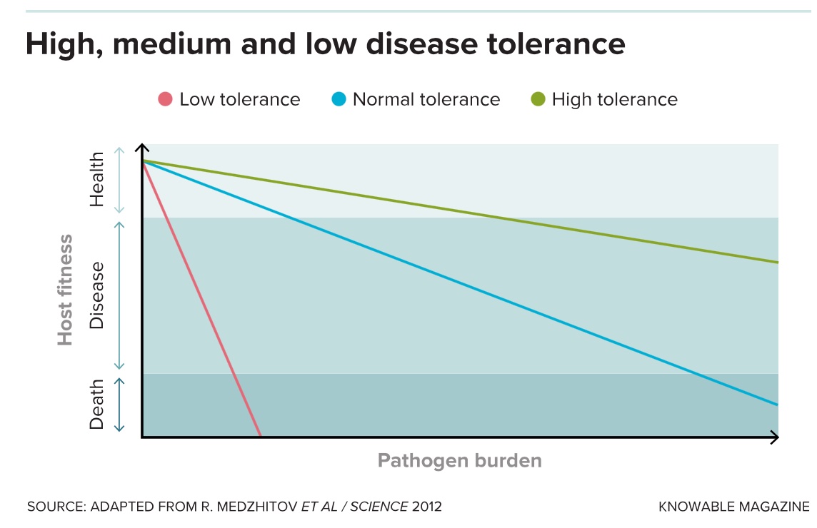a line graph showing how high, medium, and low disease tollle.