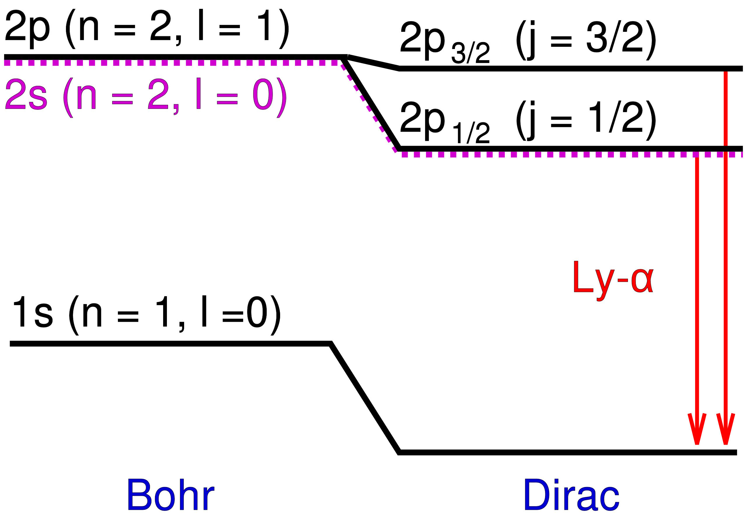 fine structure bohr dirac