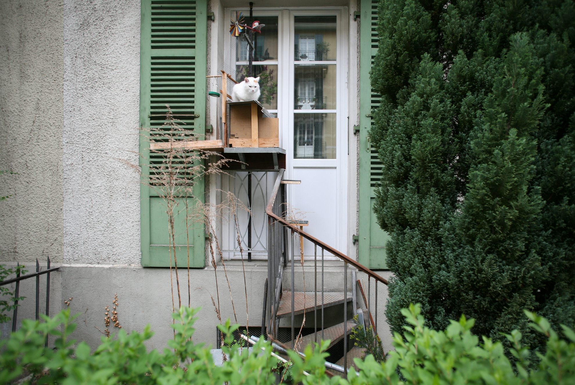 a cat sitting on a window sill in front of a door.