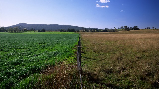 A field of grass with a fence in the foreground.