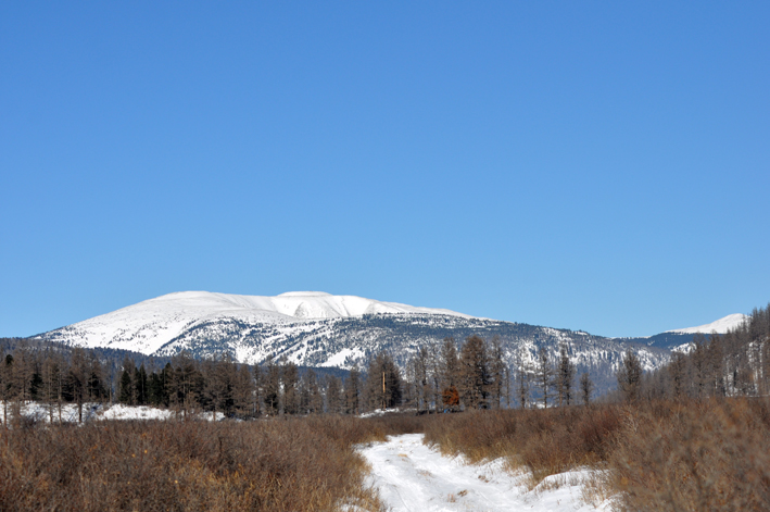 a snow covered mountain in the distance with a trail in the foreground.