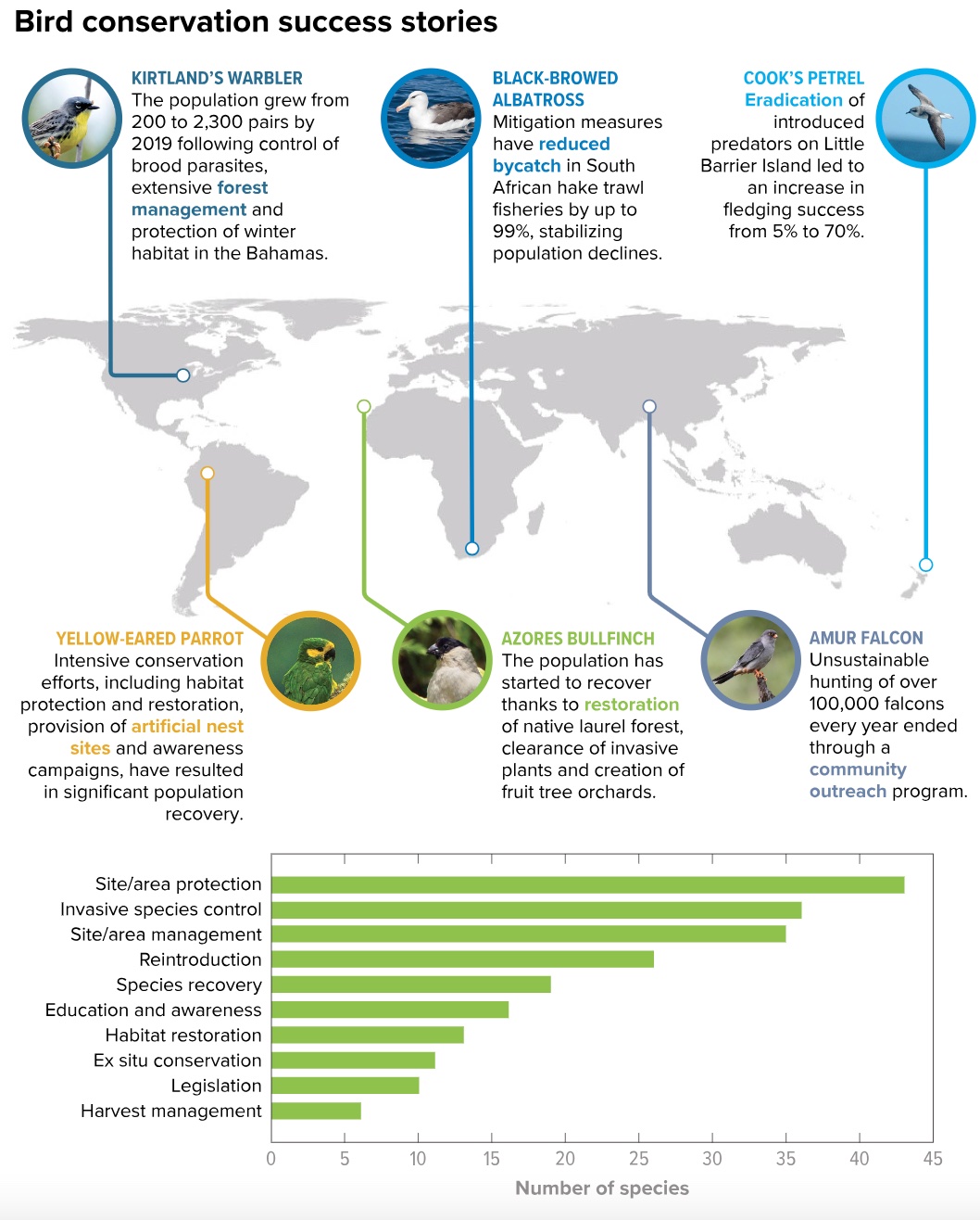 a map of birds that are in the wild.