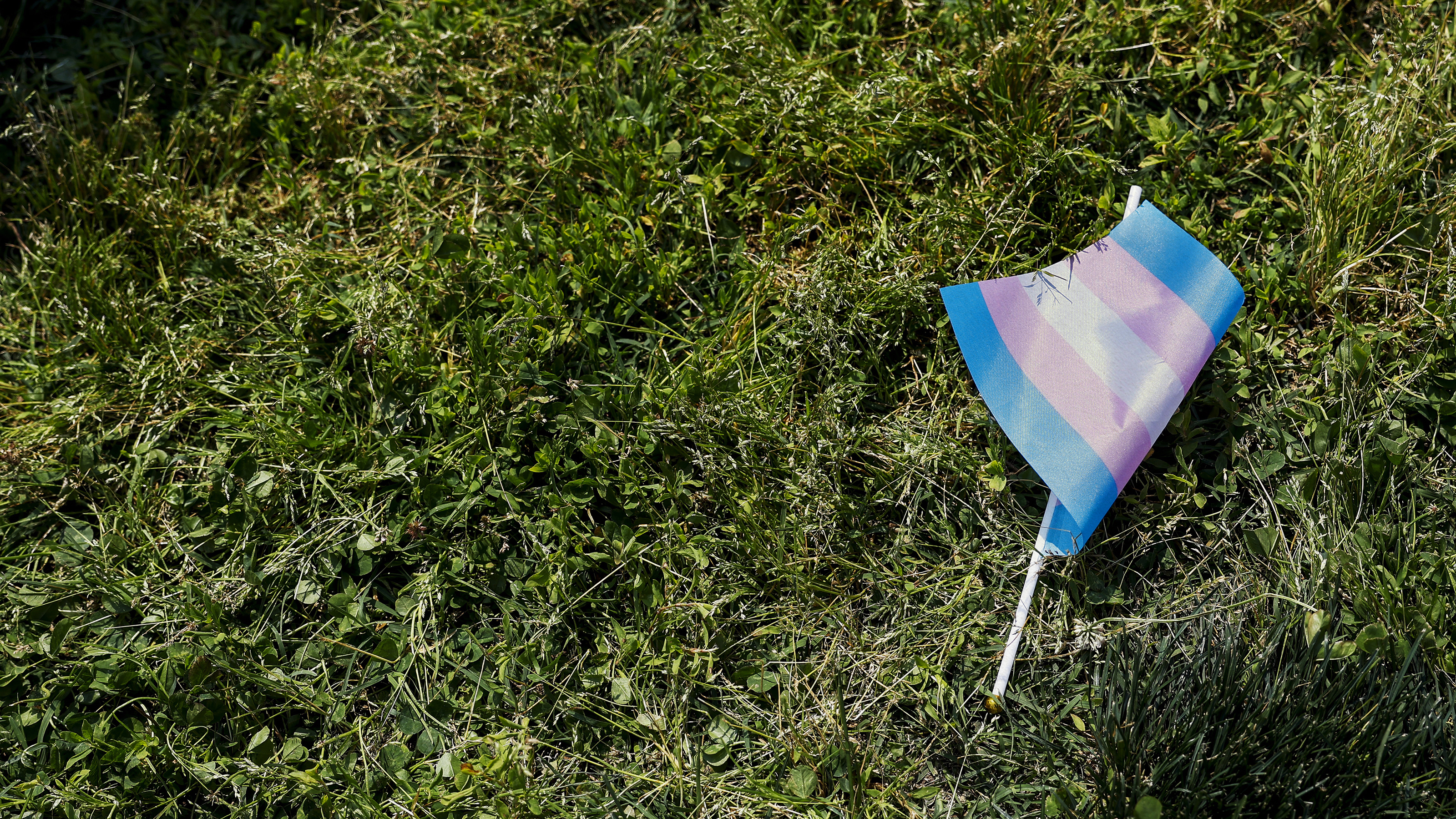 a blue and pink umbrella laying in the grass.