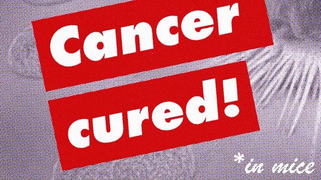 A poster showcasing breakthroughs in cancer research with the words "cancer cured" in red and white.
