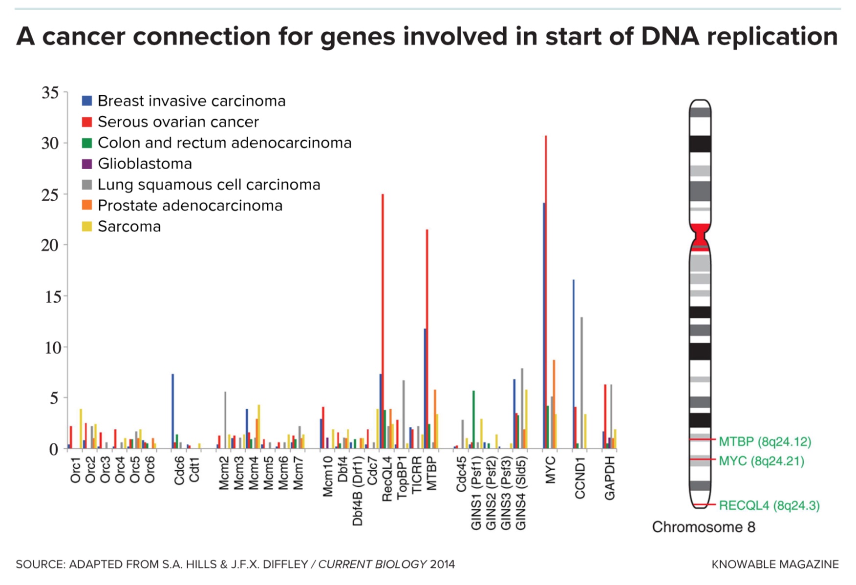 cancer connection genes involved in start of dna replication.