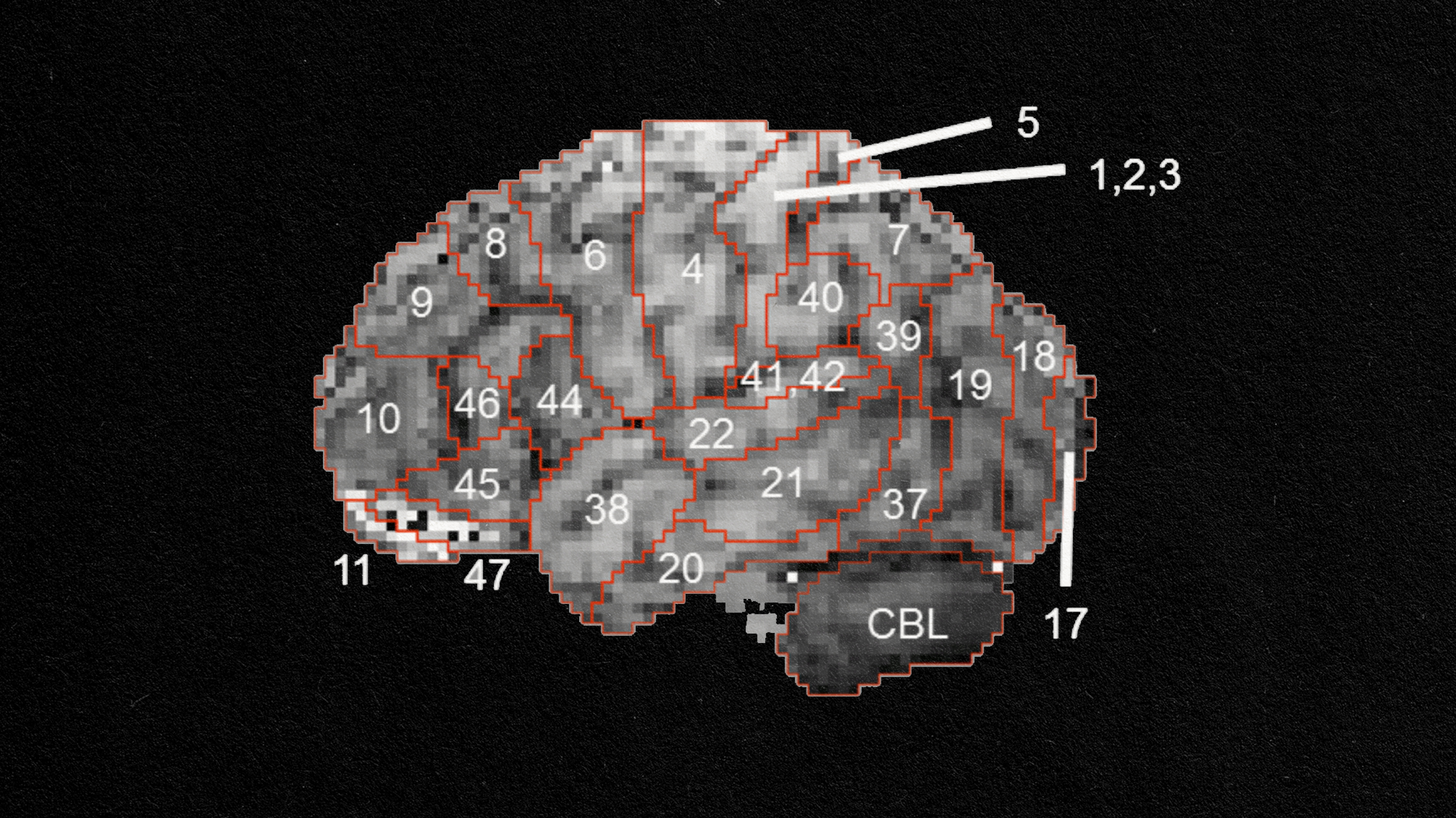 People at risk of depression prefer complex song lyrics - Big Think