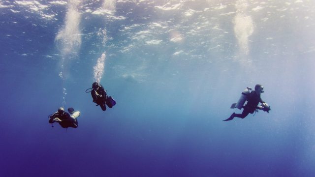 three scuba divers in the water.