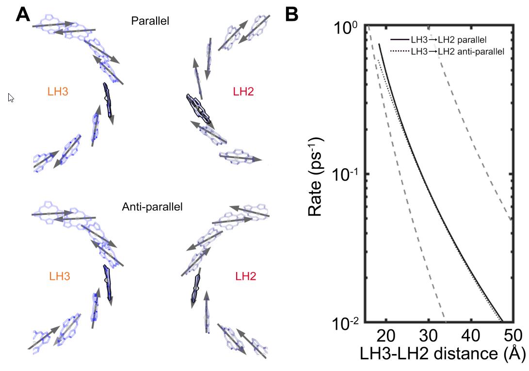 energy efficient photon transfer photosynthesis