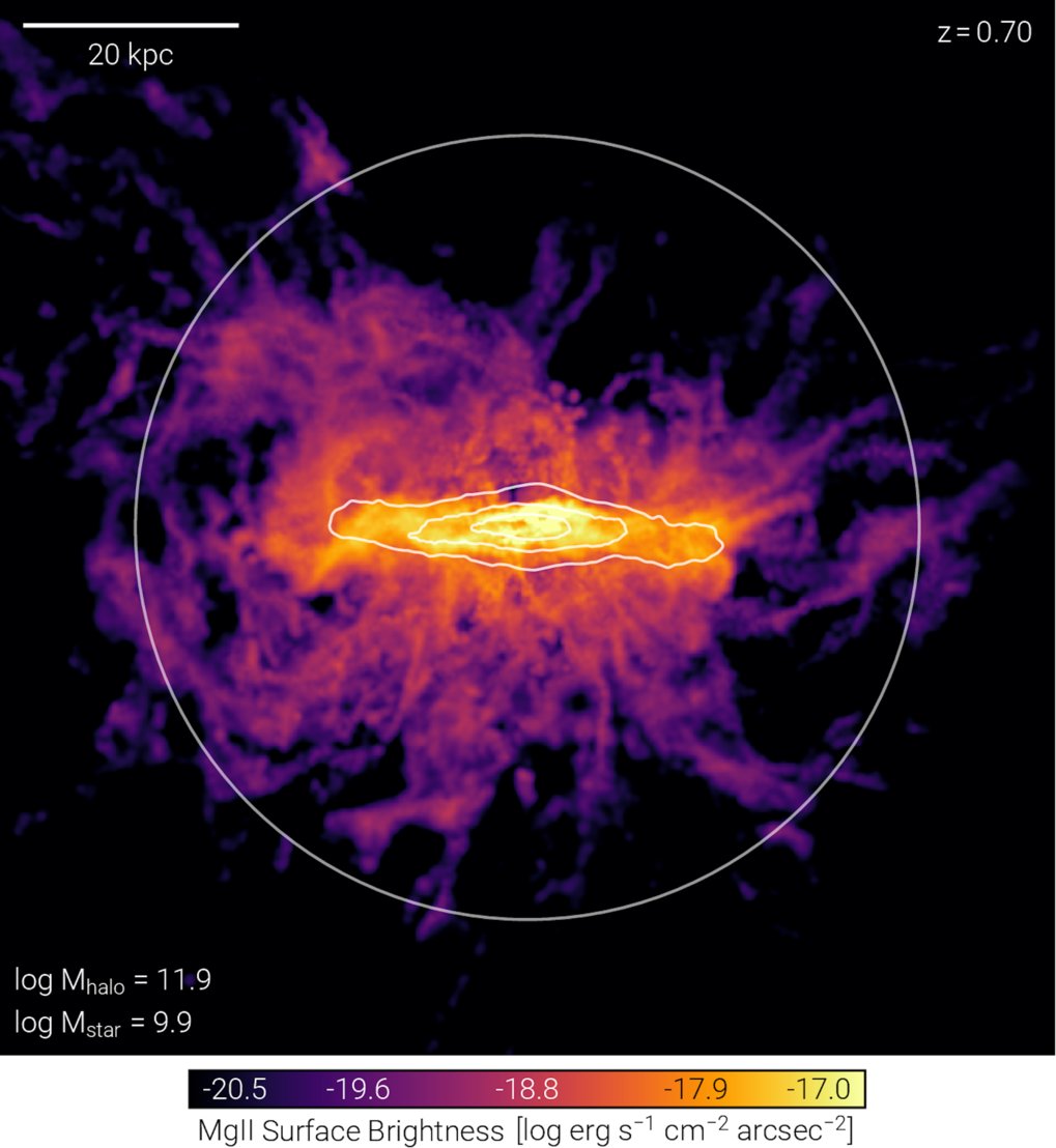 simulation of ionized magnesium around a massive galaxy
