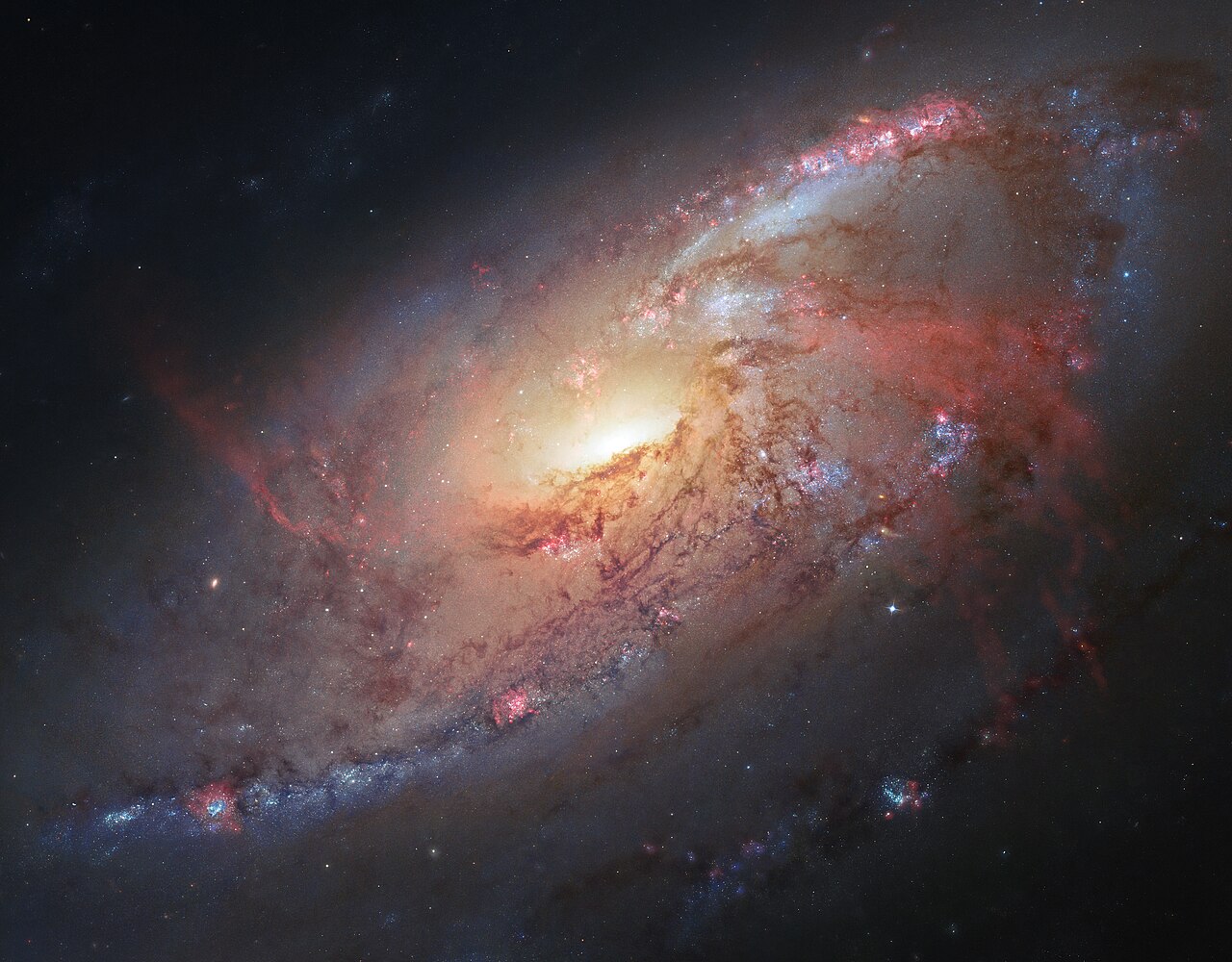 Galaxia vecina M106 NGC 4258