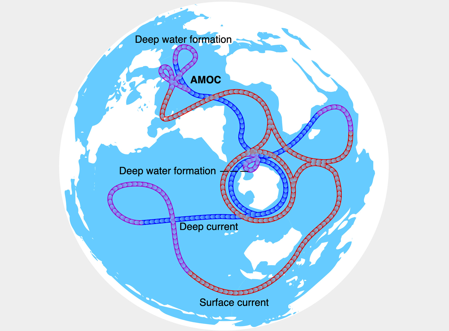 A diagram of the Arctic Ocean illustrating the impact of the Gulf Stream.