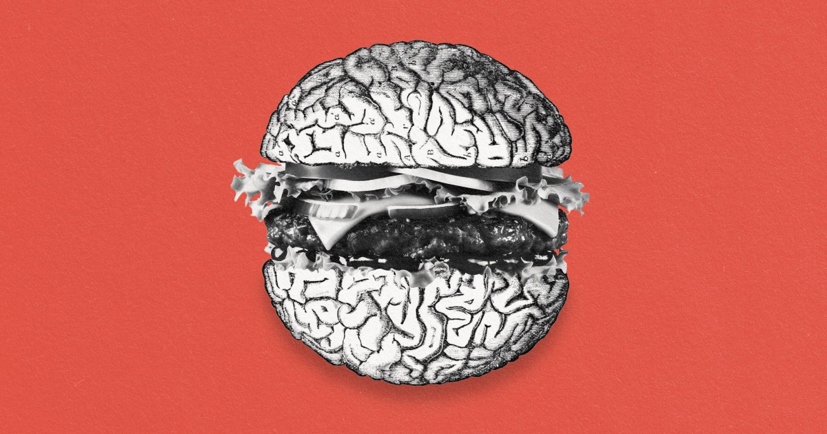 The brain's appetite control center is larger in obese people - Big Think