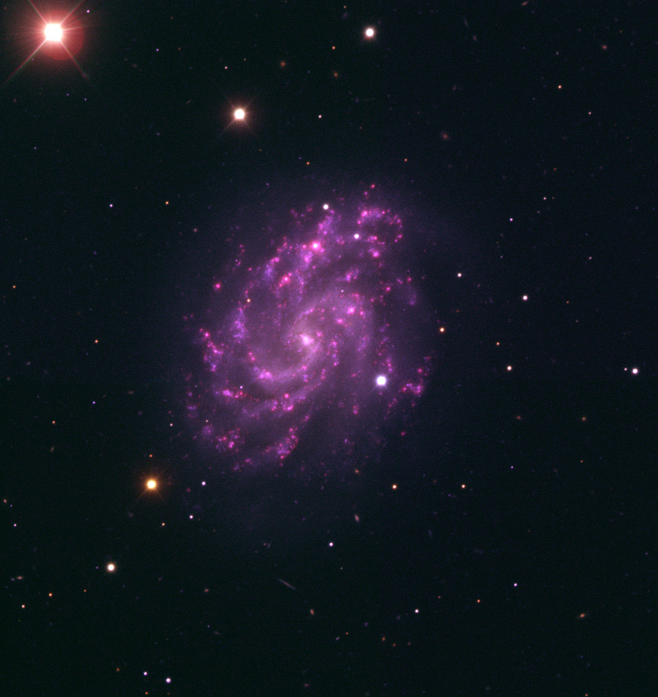 NGC 5584 com supernova SN 2007af