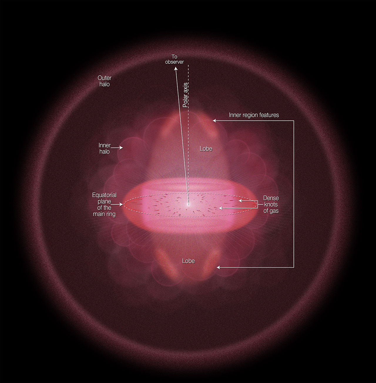 A diagram showing the structure of a star.