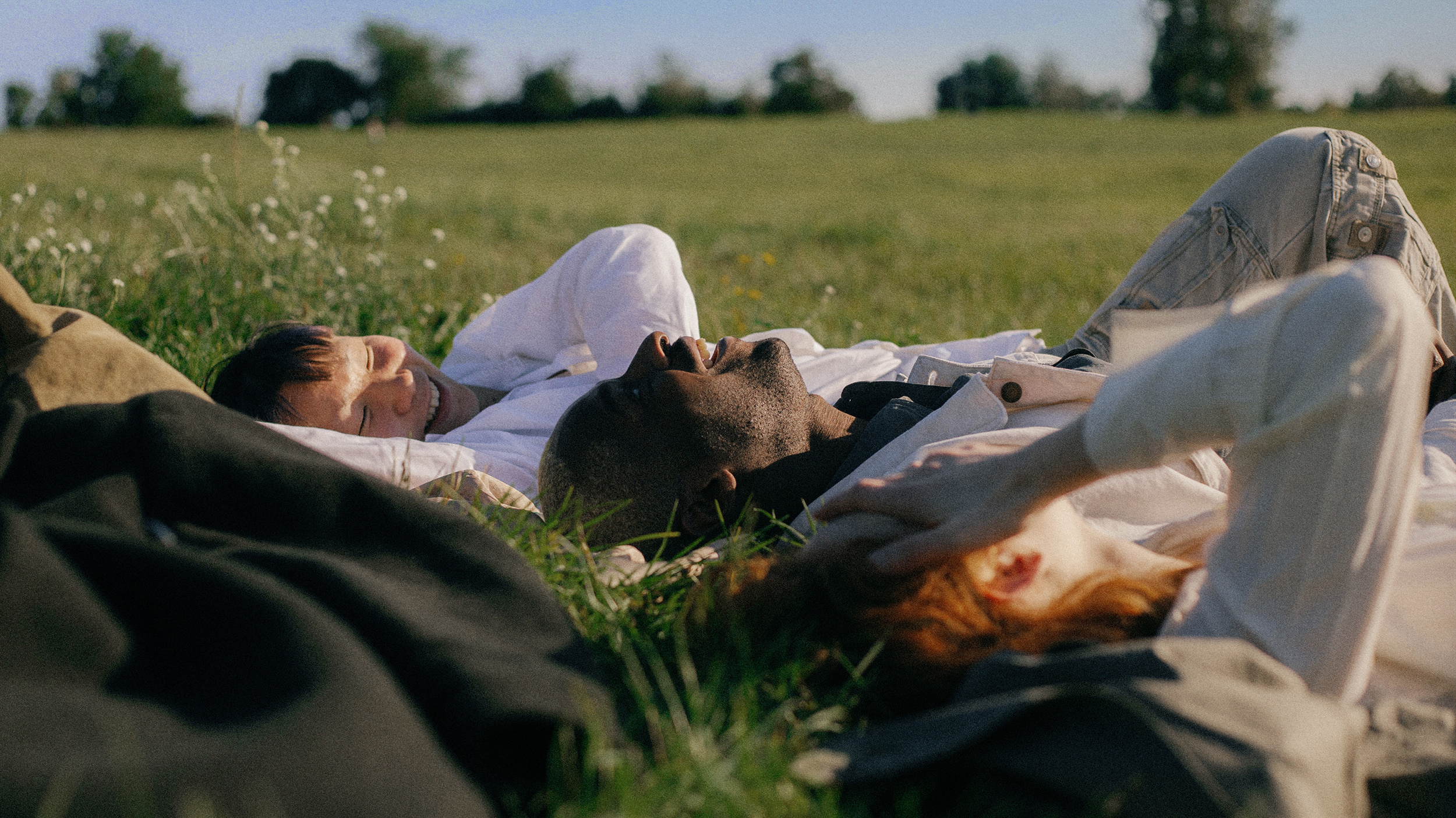 A small gathering of individuals peacefully reclining in a meadow.