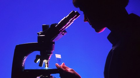 A person making medical breakthroughs by looking through a microscope.