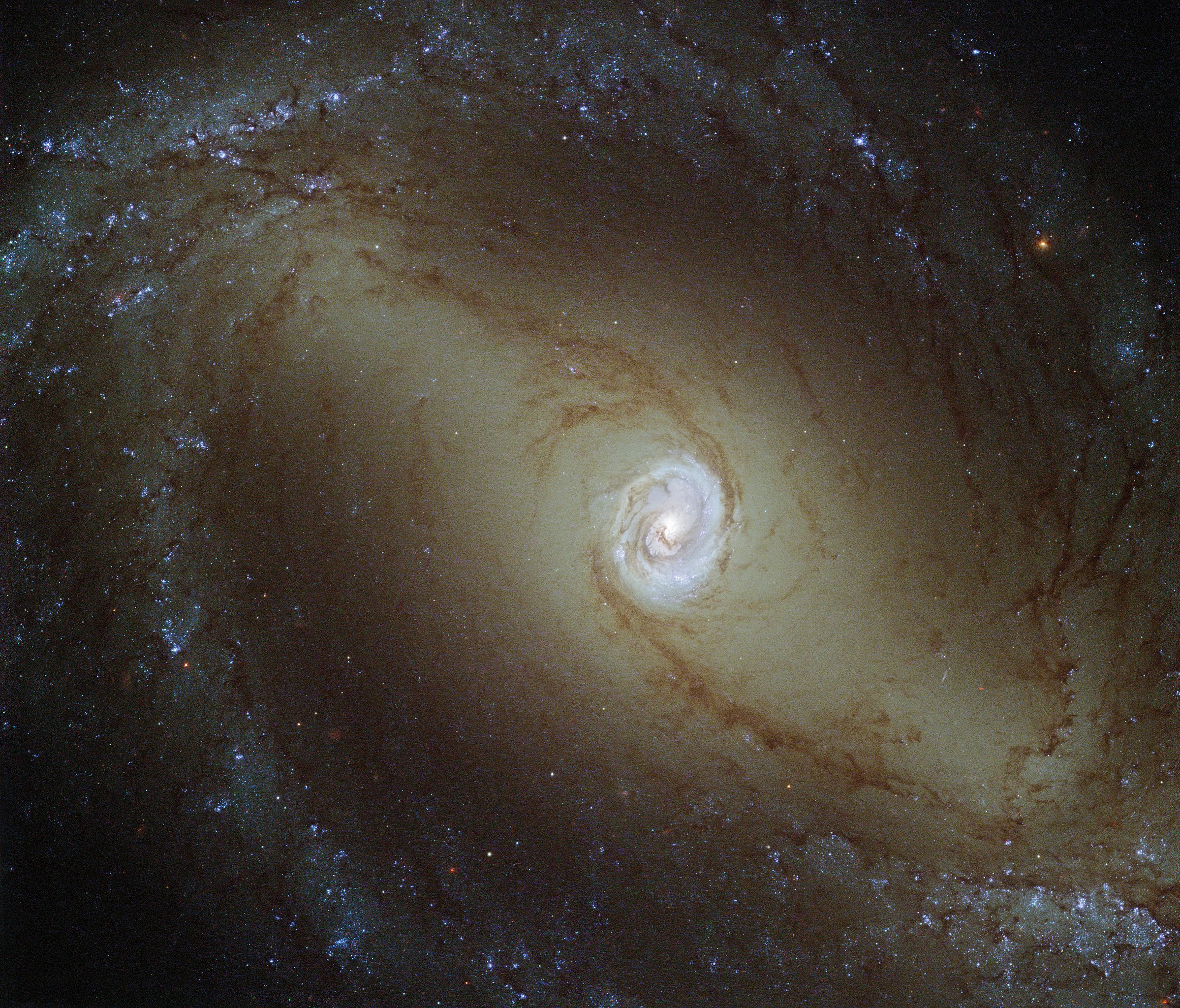 spiral galaxy NGC 1433 Hubble