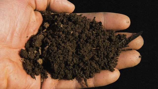 A person's hand holding a pile of dirt, depicting geophagy.