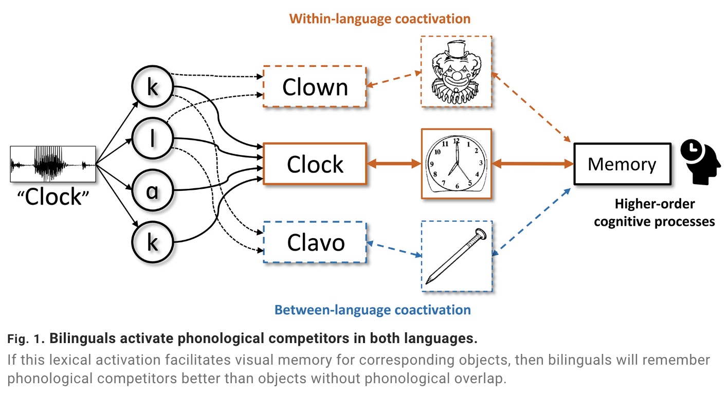 A diagram showing the different parts of a clock.