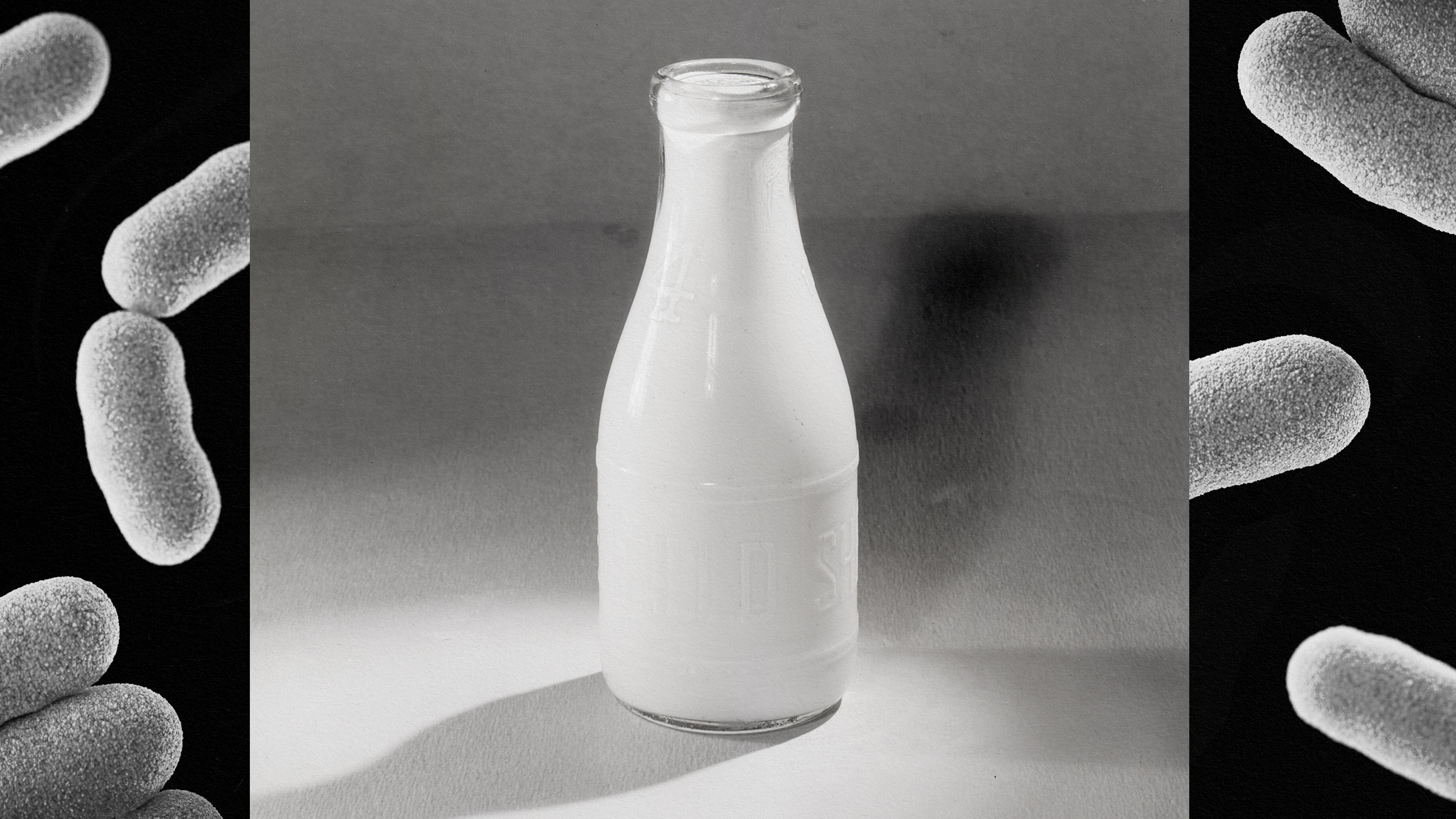 An image of a bottle of milk with bacteria on it.