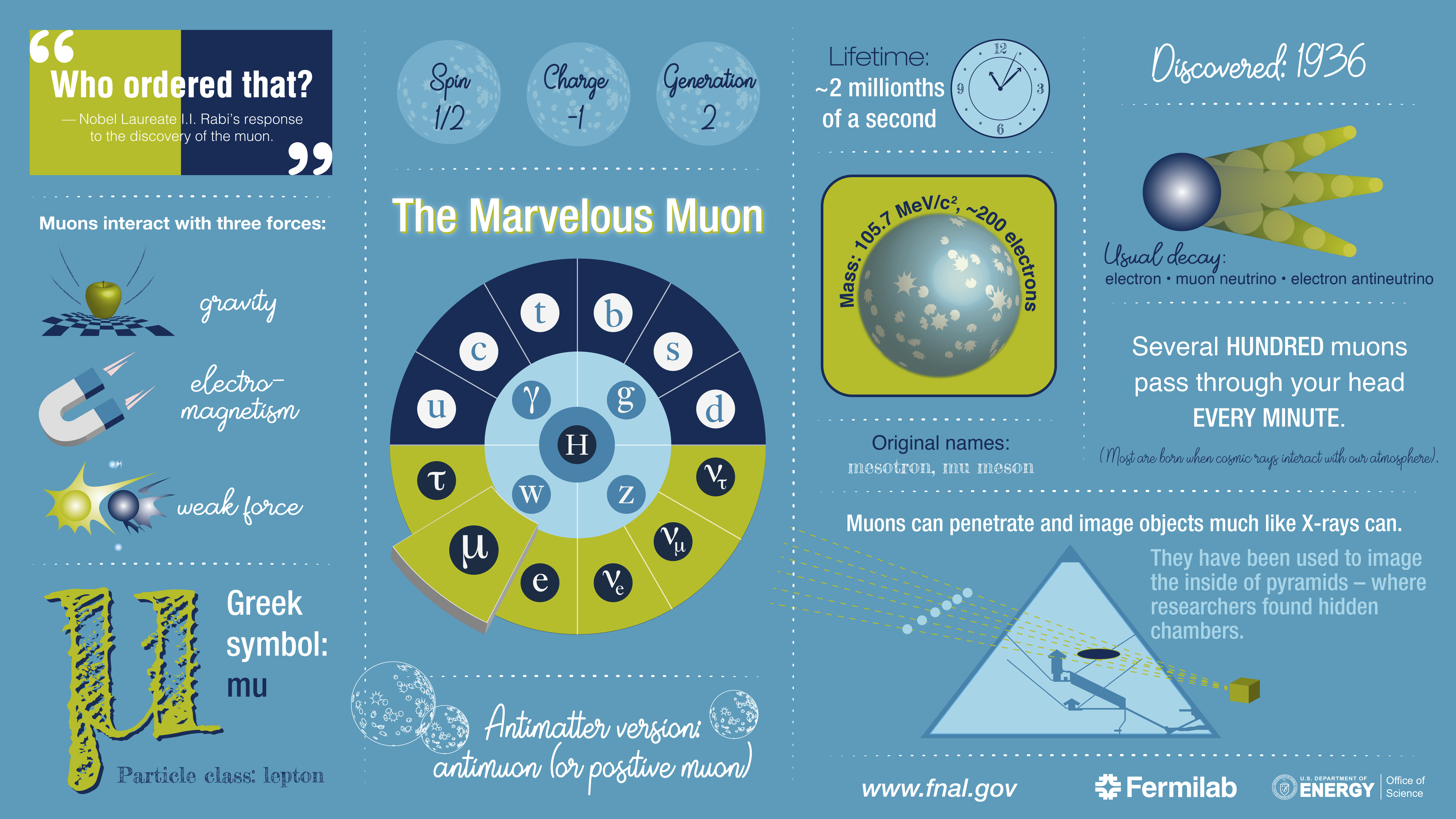 The muon particle infographic fermilab