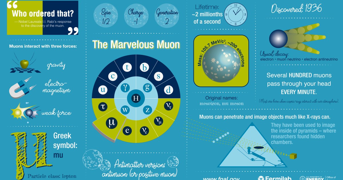 Back in the early 1930s, there were only a few known fundamental particles that made up the Universe. If you divided up the matter and radiation we ob