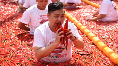 A man consuming capsaicin-rich chili peppers in a vibrant red field.