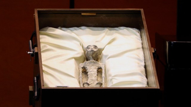 A mummy inside a casket found in Mexico.
