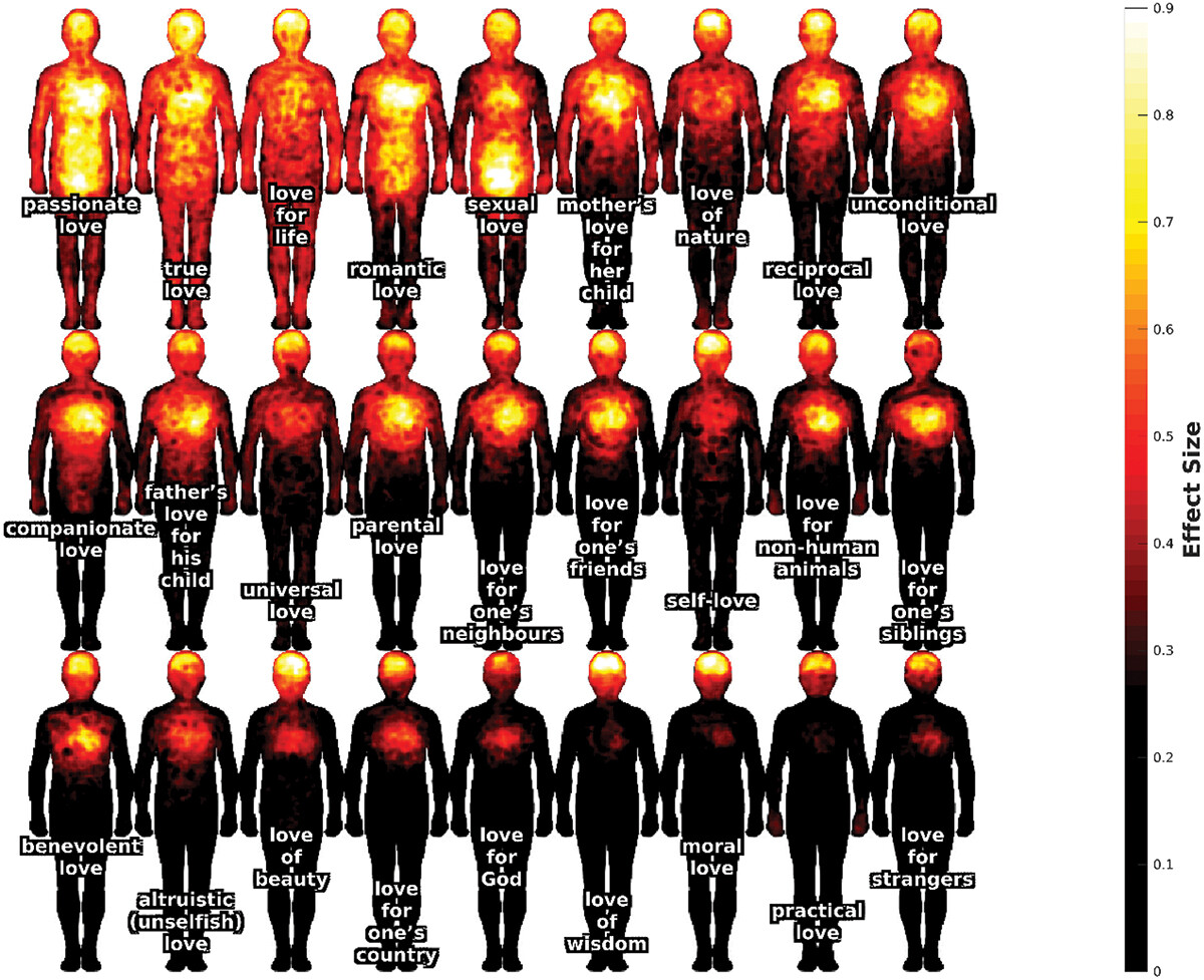 A chart showing the different levels of heat in a person's body.