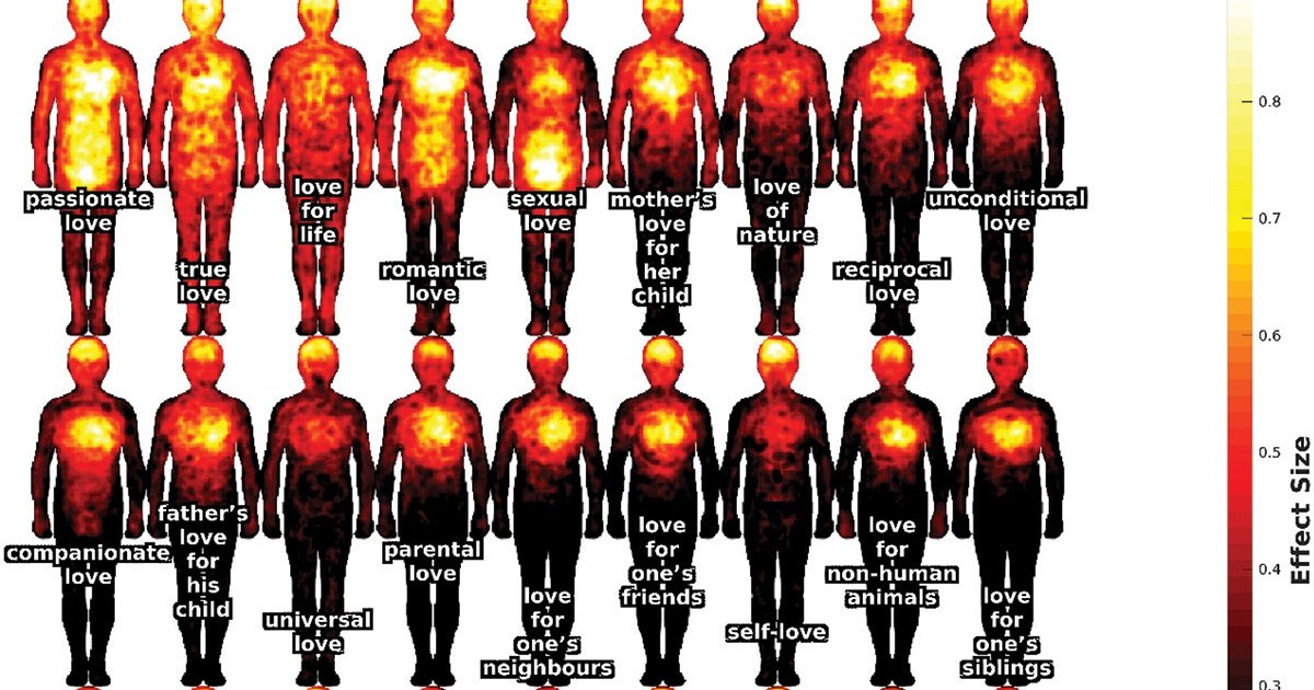 Mapping love: How 27 different types of love manifest in the body thumbnail