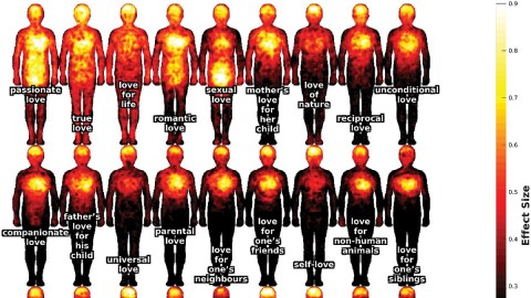 A heat map of the human body.