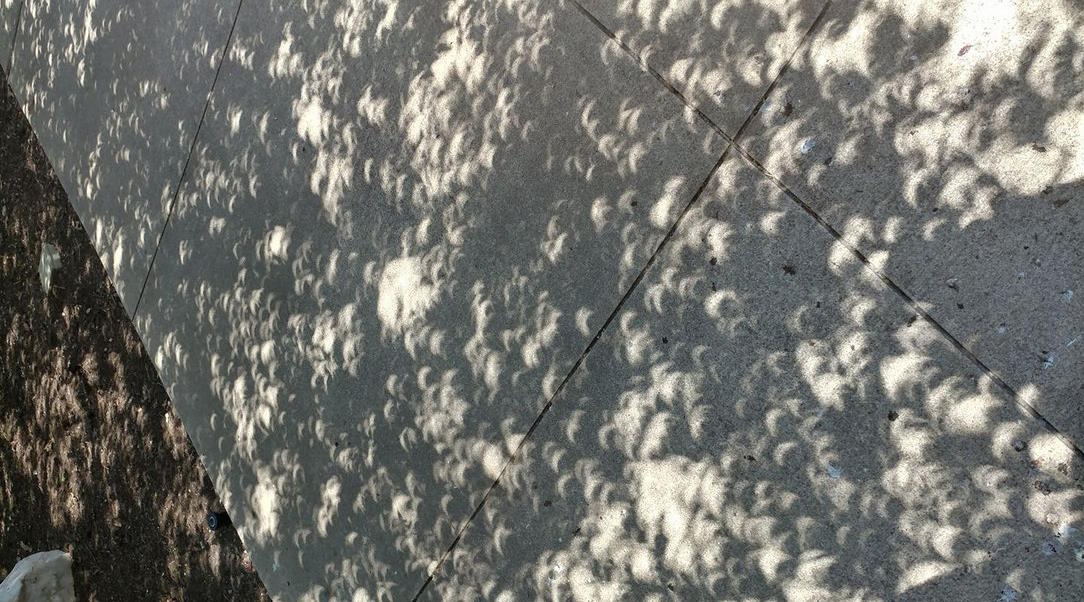 The shadow of a tree creates an eclipse-like effect on the sidewalk.