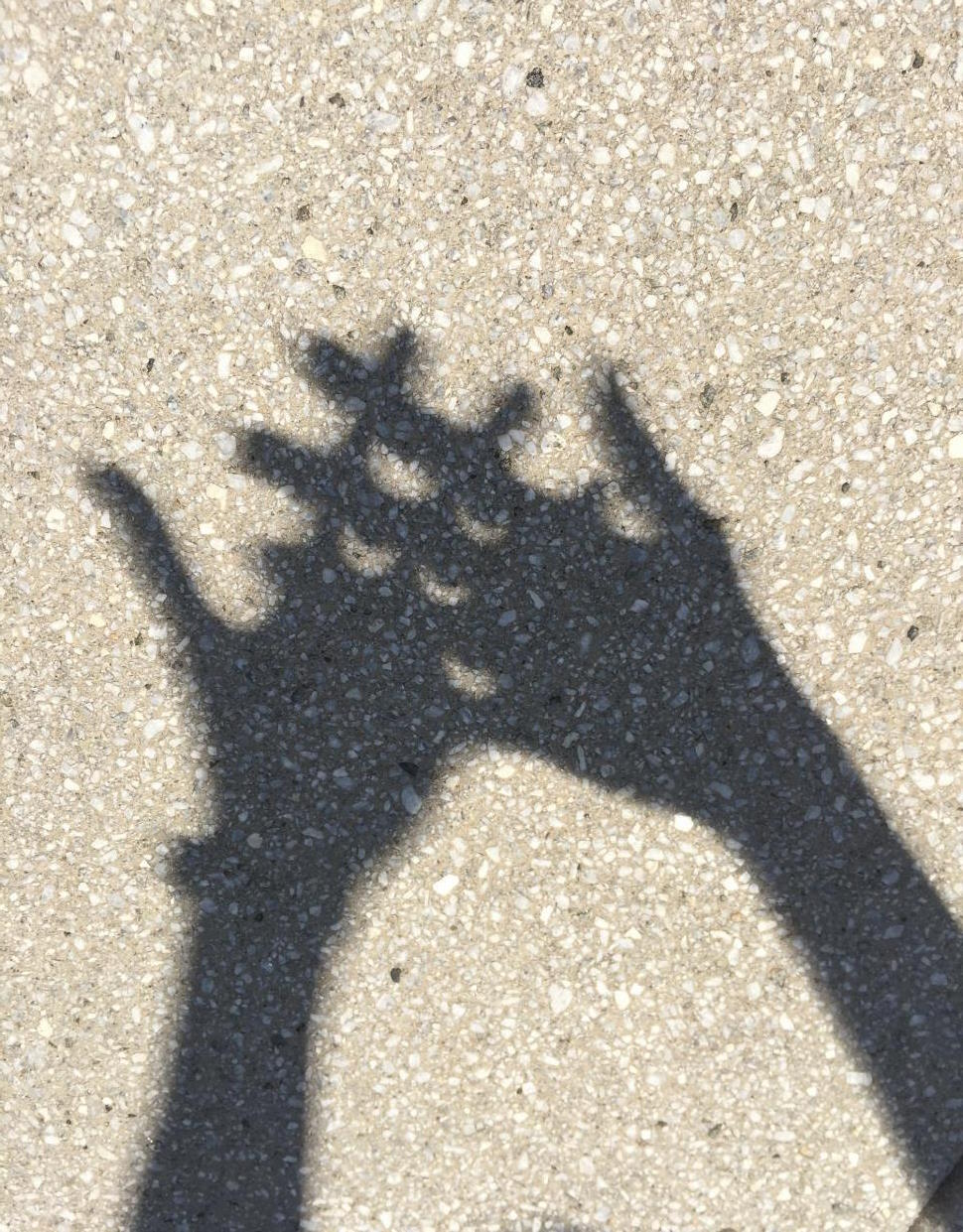 fingers crossed solar eclipse