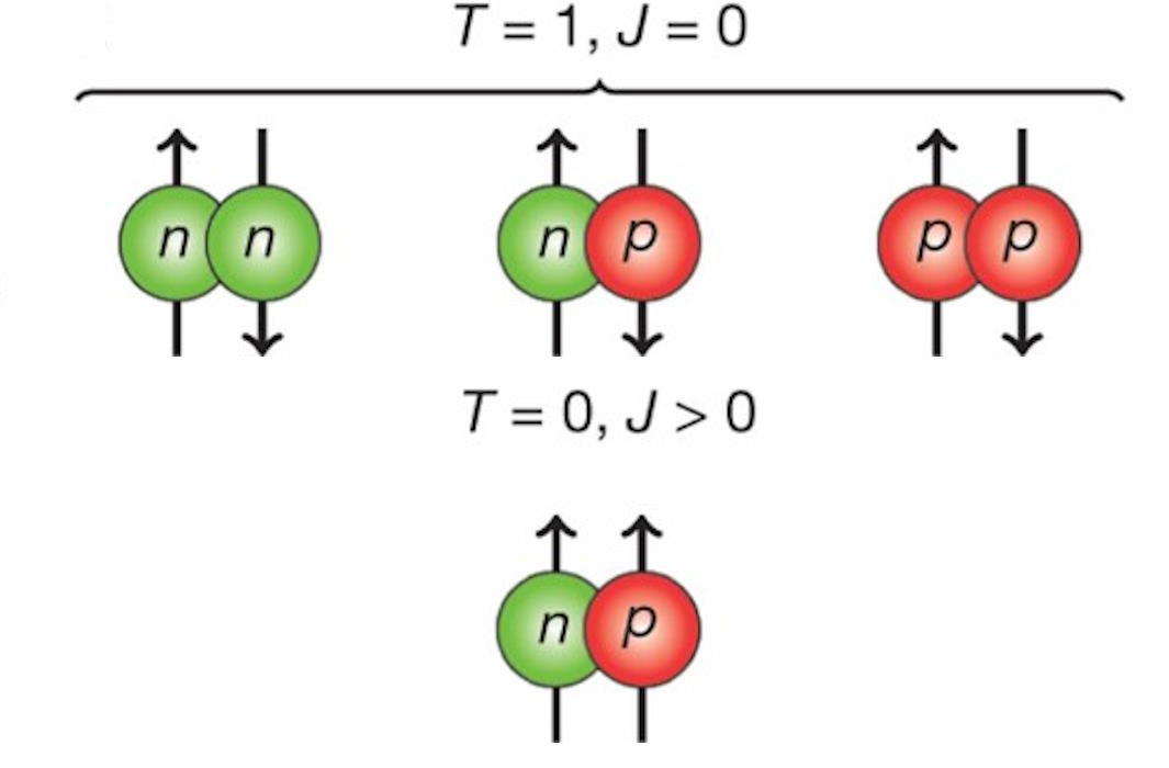 binding states for neutrons and protons