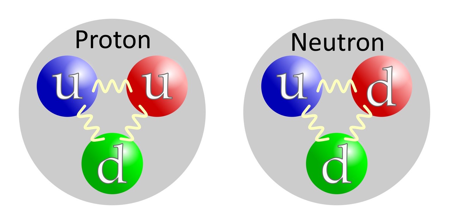 Two diagrams of proton and neutron.