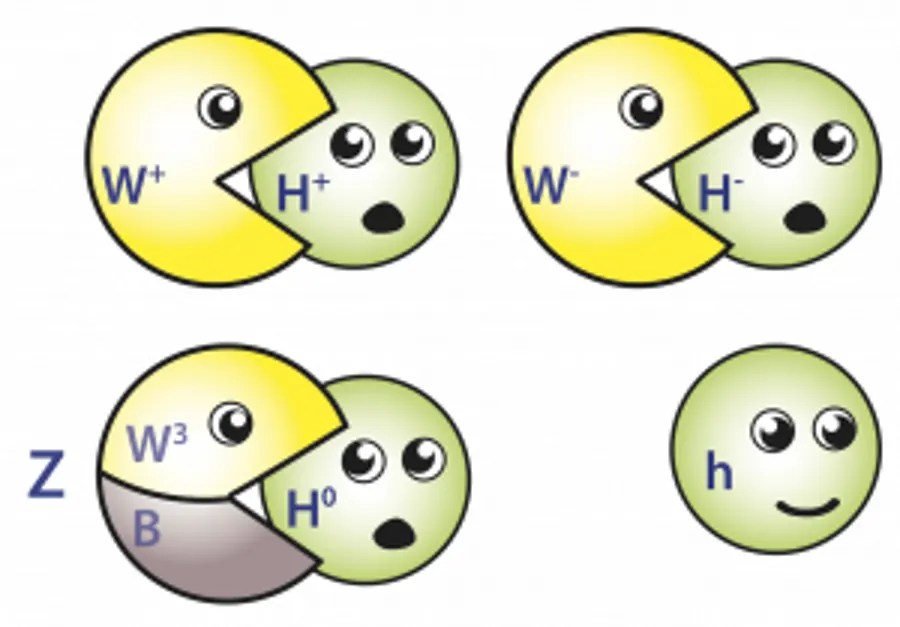 How the various standard model particles eat the broken higgs symmetry bosons to become the electromagnetic and weak bosons today